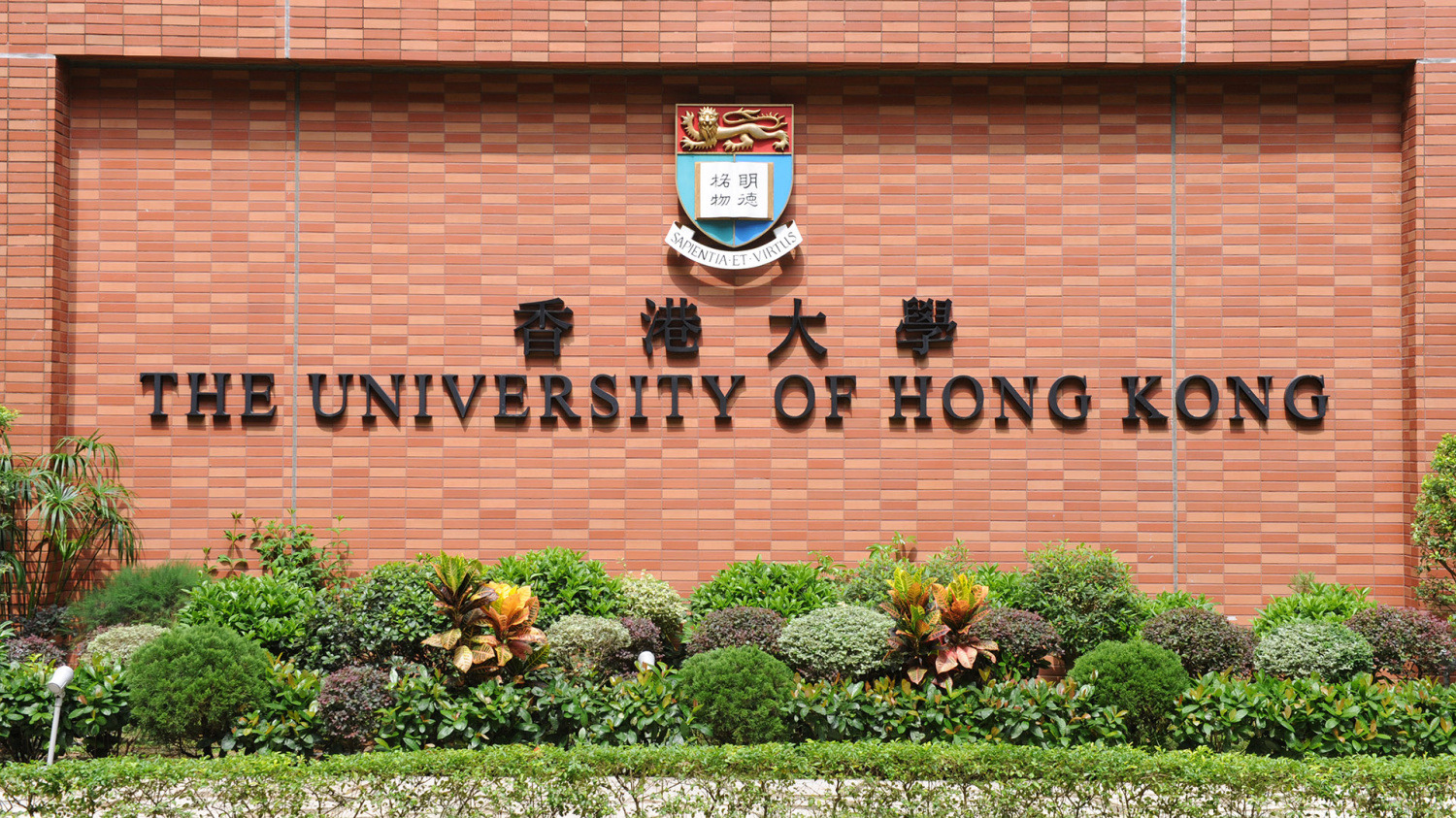 香港大學由排名第25位上升至第22位，比2012年排第23位的更高為香港的大學創全球名次新高。