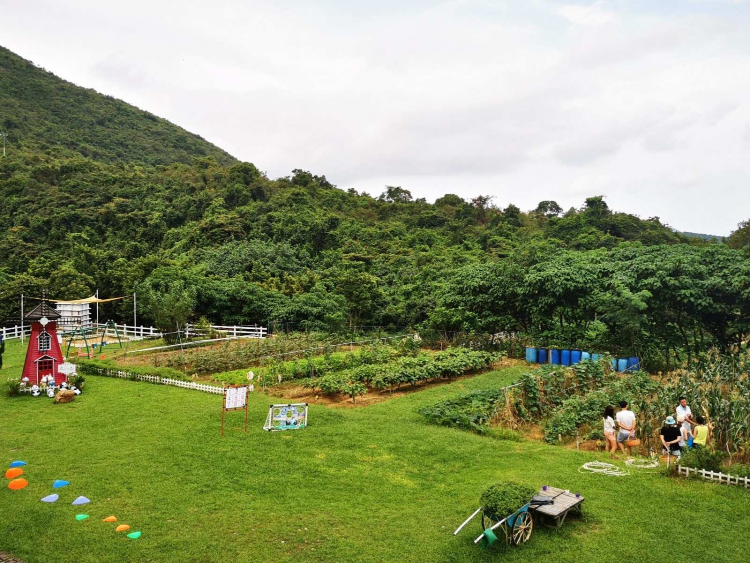 親子好去處2020-清新地有機悠閒莊園-親子農莊-香港財經時報HKBT-香港財經時報-HKBT